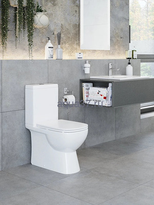 Унитаз-компакт "QUADRO" Sanita Luxe (вид 5) Унитаз-компакт "QUADRO" Sanita Luxe (фото, вид 5)