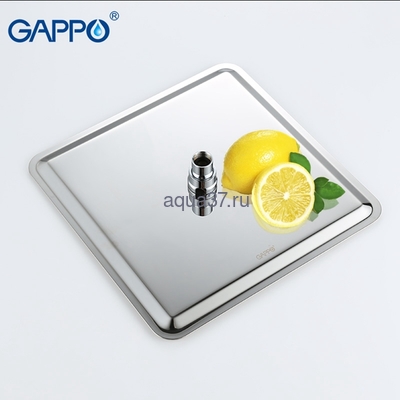   Gappo G2407 (,  10)