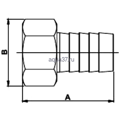  20     1/2" Frap (,  1)