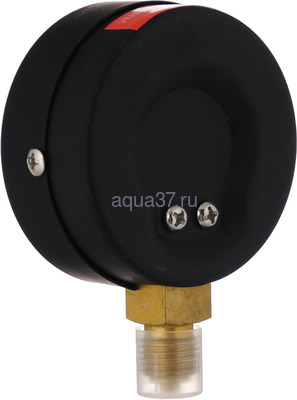 Манометр TM-310P Dy 63 с нижним подключением 1/4", 0-16 бар Росма (вид 1) Манометр TM-310P Dy 63 с нижним подключением 1/4", 0-16 бар Росма (фото, вид 1)