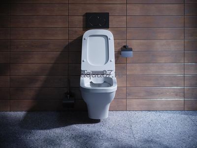 Унитаз подвесной "ЛАЙН" Santek (вид 1) Унитаз подвесной "ЛАЙН" Santek (фото, вид 1)