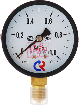 Манометр TM-310P Dy 63 с нижним подключением 1/4", 0-16 бар Росма Манометр TM-310P Dy 63 с нижним подключением 1/4", 0-16 бар Росма (фото)