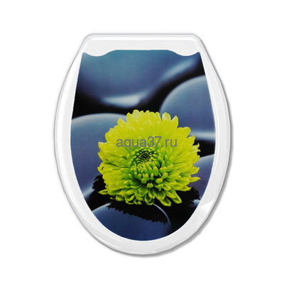 ������ �/������� "�����" ������