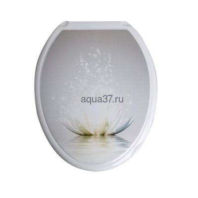 ������ �/������� "�����" �����