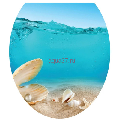 ������ �/������� "�����" �������� �����